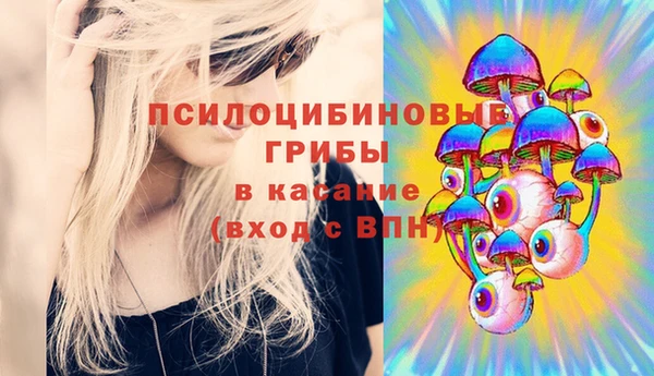 молекула духа Верхний Тагил