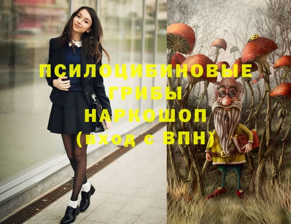 Альфа ПВП Верхнеуральск